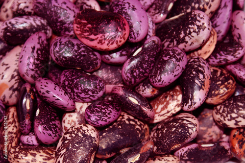 runner bean seeds