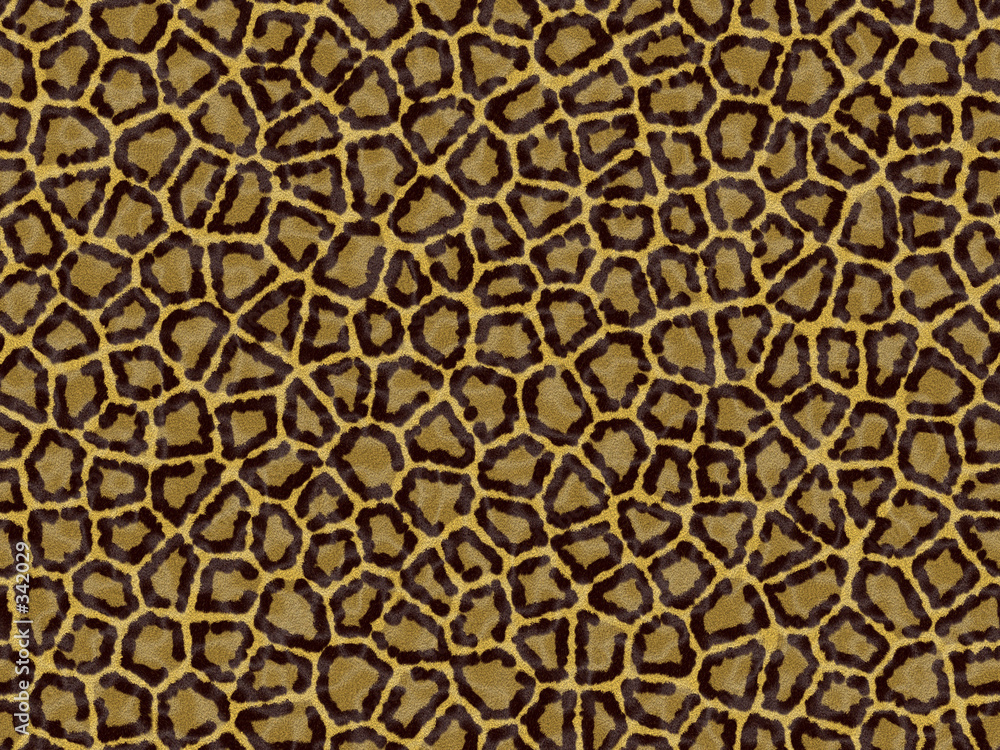 leopard skin leopard skin