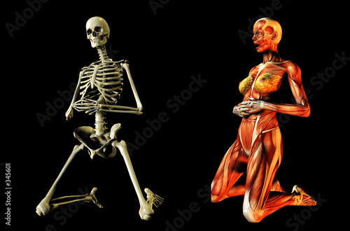Tapety artystyczne bone and muscle