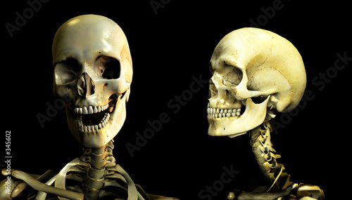 Fotografie bone conversation