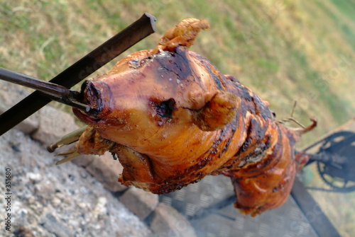 schwein gehabt 7