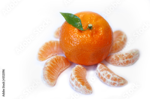 dance of tangerines
