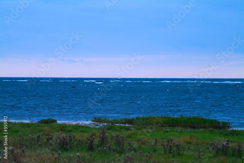 Wallpaper Mural am wasser Torontodigital.ca