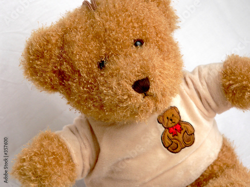 teddy bear