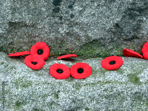 rememberance day 1 photo