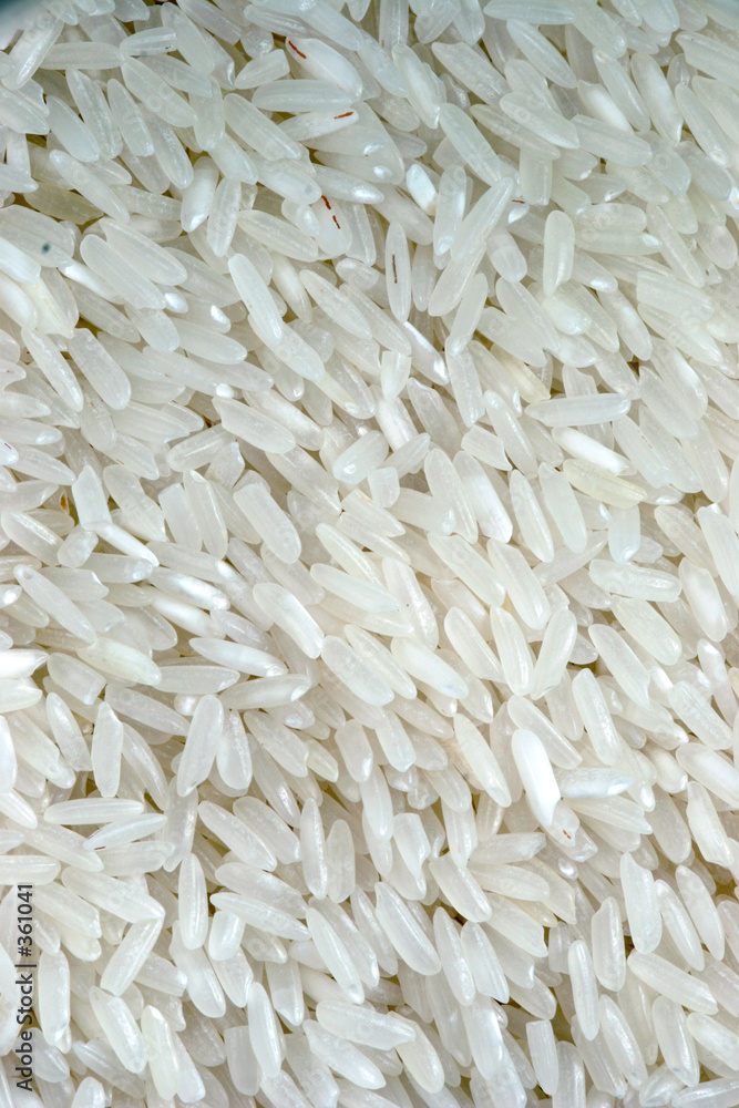rice macro