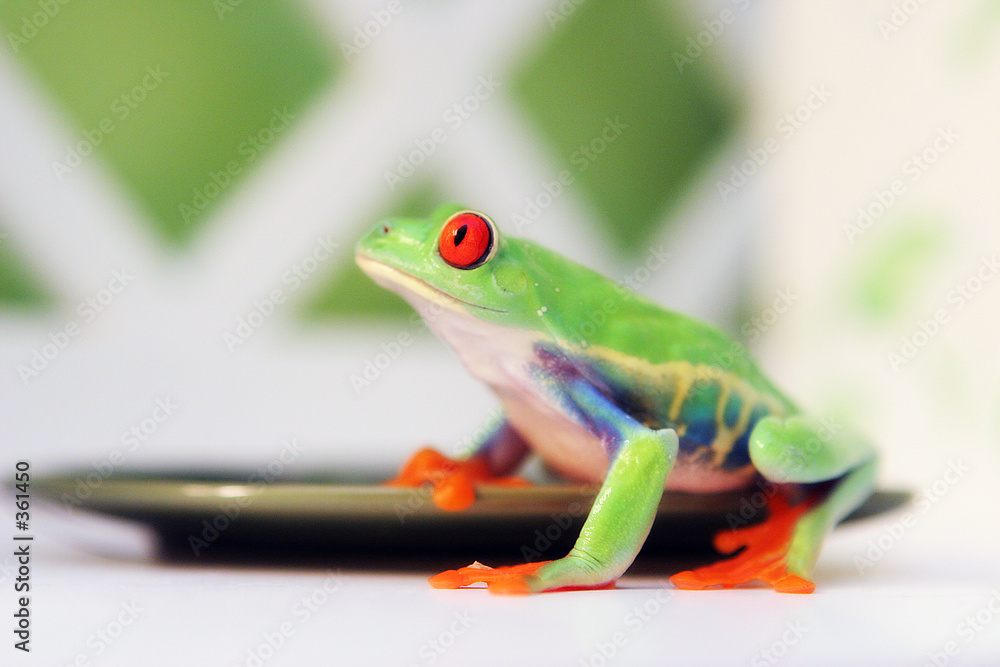 Obraz premium ready to jump