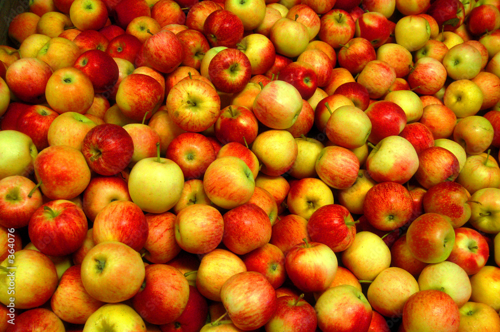 apples apples