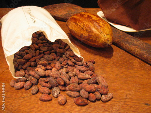 fèves de cacao
