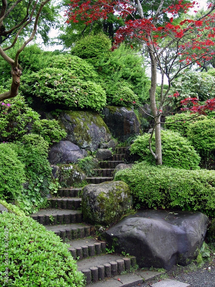 japanese garden in tokyo