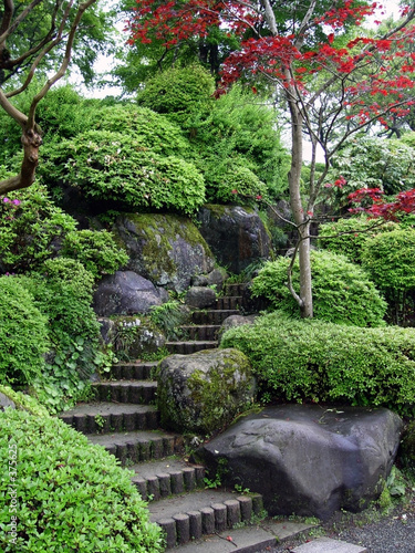 japanese garden in tokyo #375625