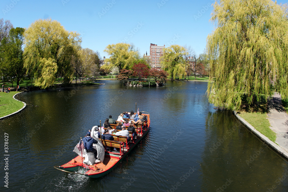 swan boat in the park