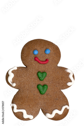 cookie - gingerbread man