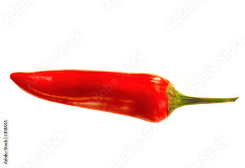 red hot pepper isolated photo
