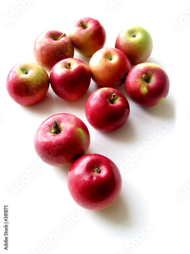 apples 1 photo