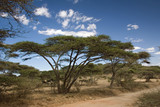 africa landscape 019 ngorongoro