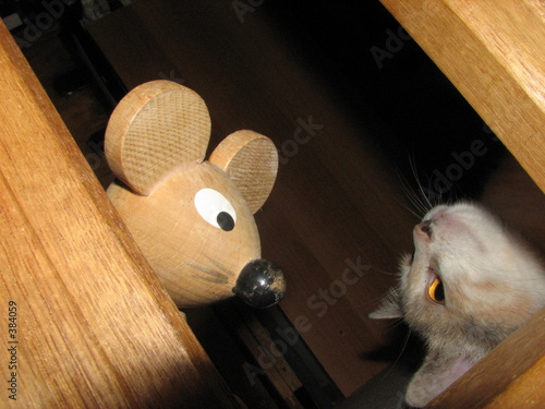 la souris en bois