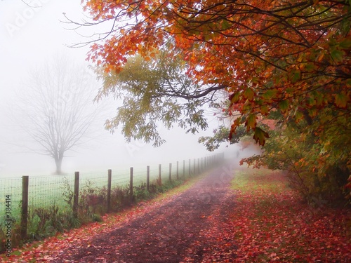 misty autumn morning