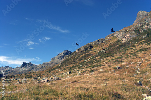 silvretta