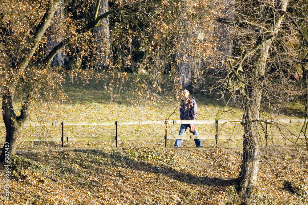 ballade au parc de la tete d'or ballade au parc de la tete d'or