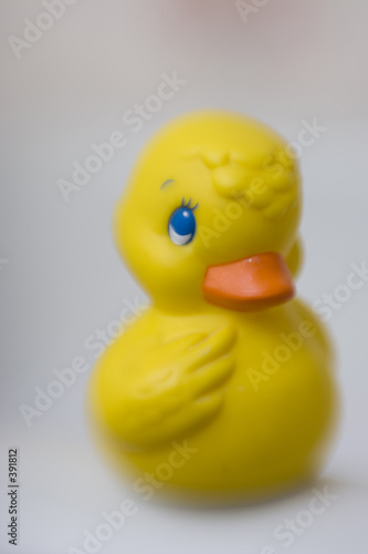 ducky © Lisa Eastman