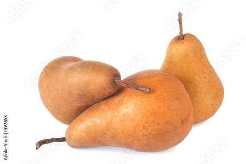 bosc pears photo