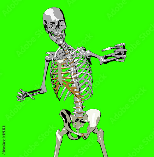 Fotografie bone  158