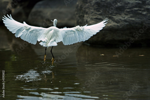 take-off