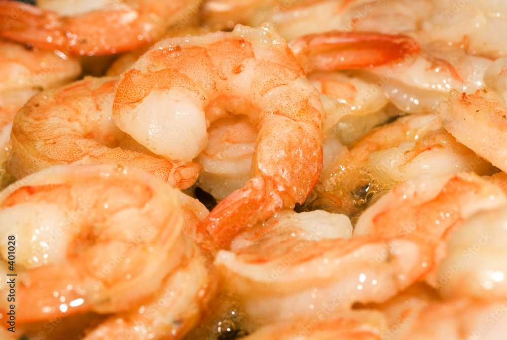 shrimp background shrimp background