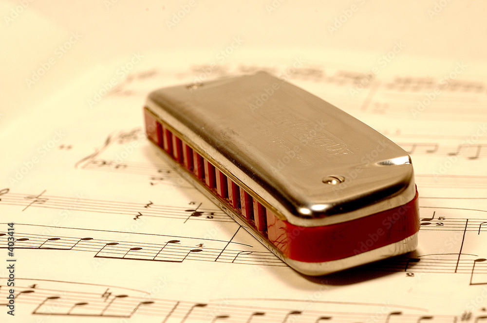 Fototapeta premium harmonica