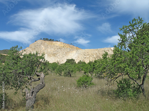 steinbruch und olivenhain photo