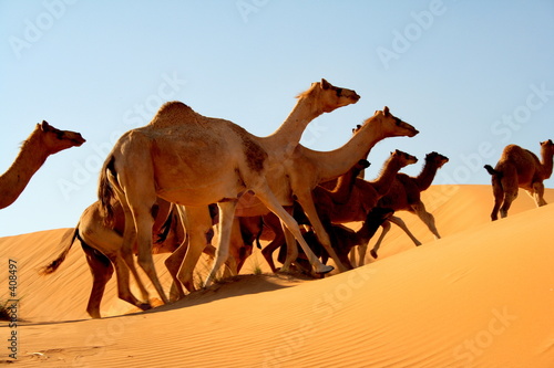 abu dhabi desert