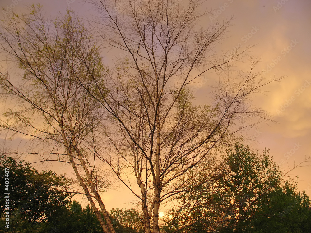 before a storm