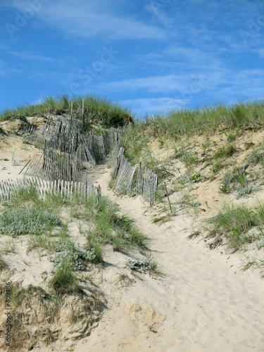 dune walkway