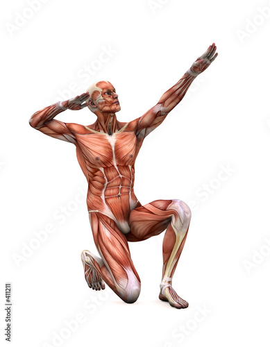posing muscles