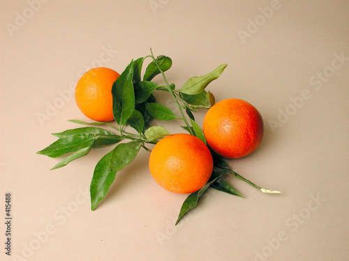 oranges feuilles