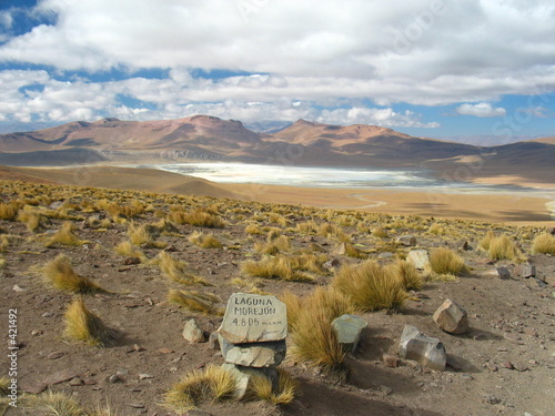 laguna morejon photo