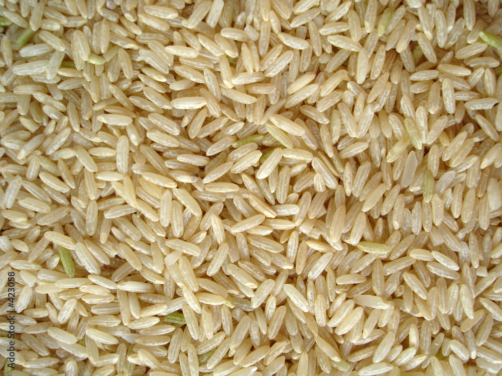 rice rice