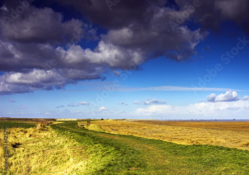 country path