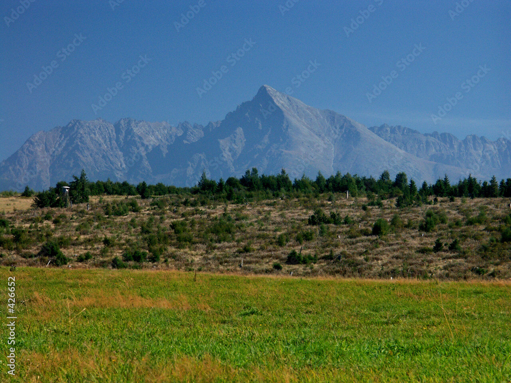 Fototapeta premium slowakische nationalsymbol - berg kriváň