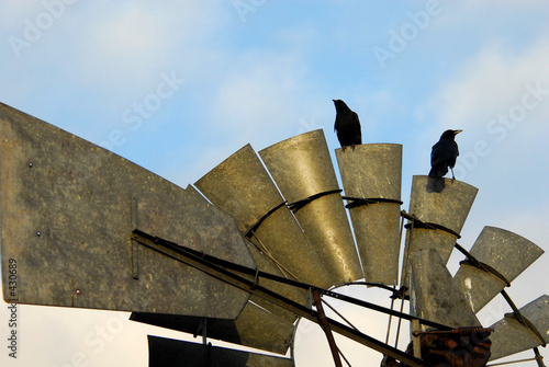 old windmill and two old crows