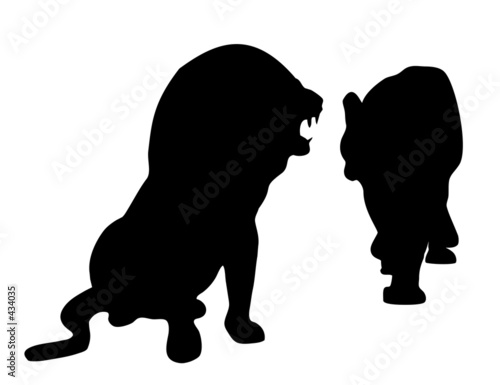 couple of  lions photo
