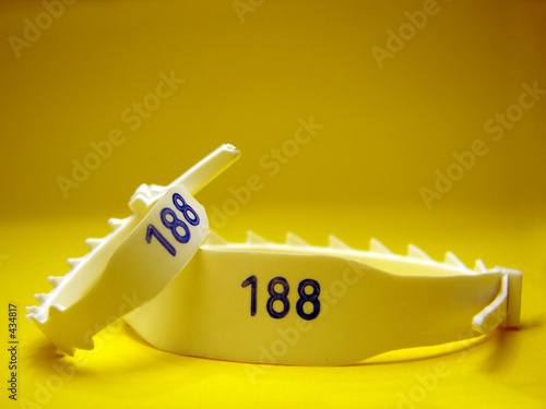 id bracelet