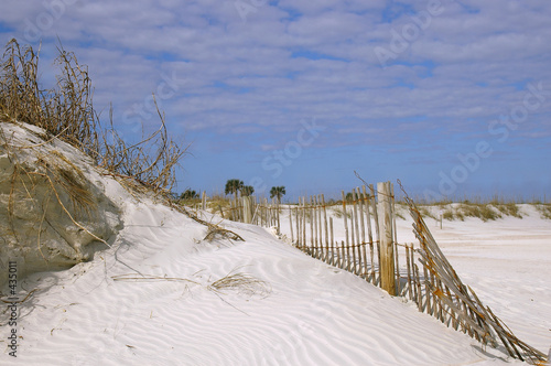 beach scene