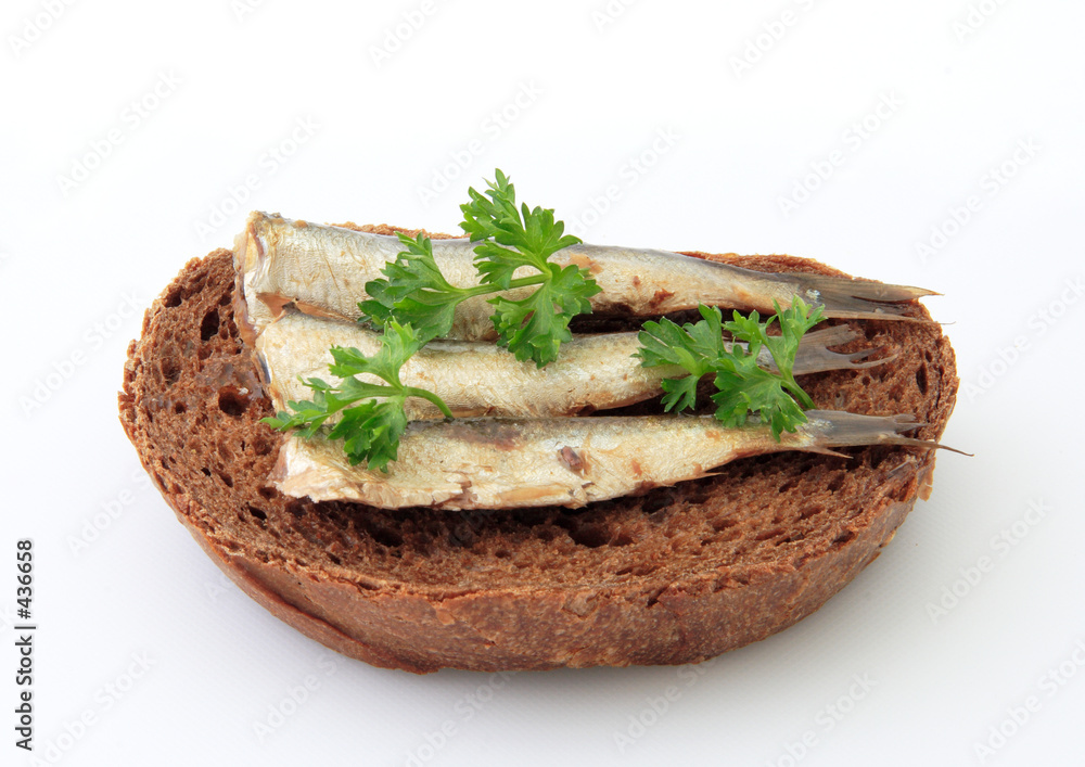 sandwich sandwich