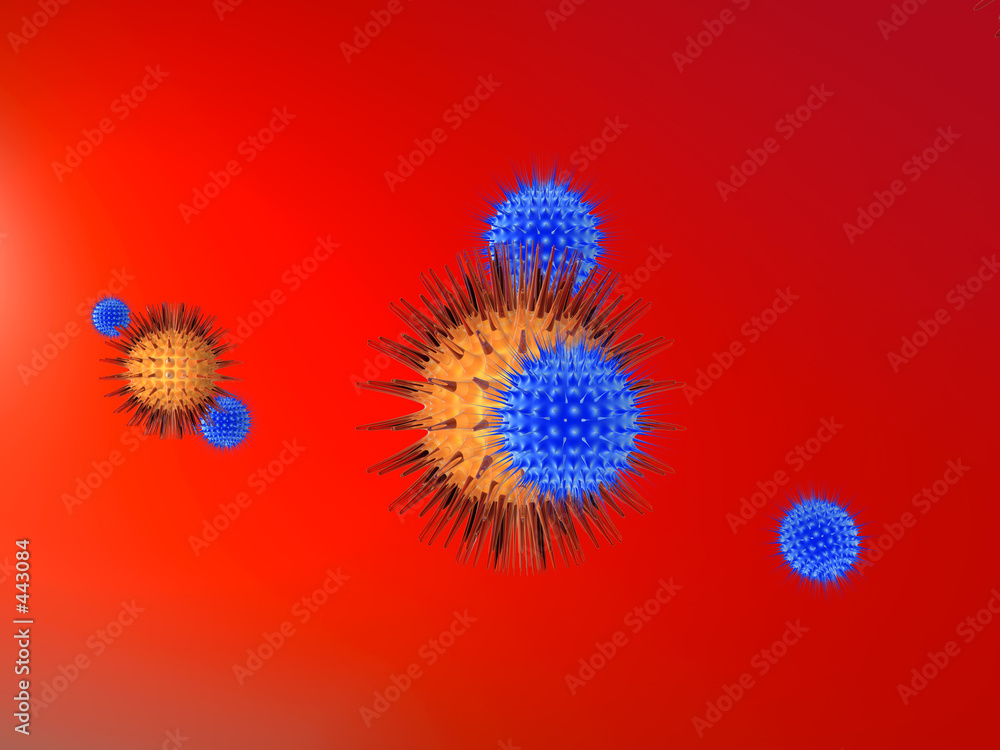 viruses vs. immune system 2