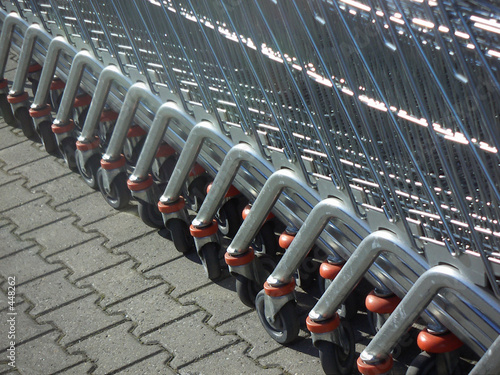 supermarket trolleys photo