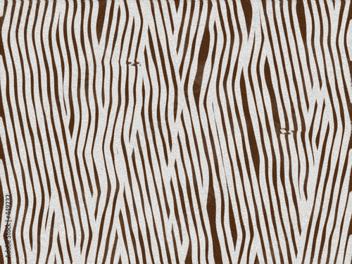 animal fur texture - zebra baby