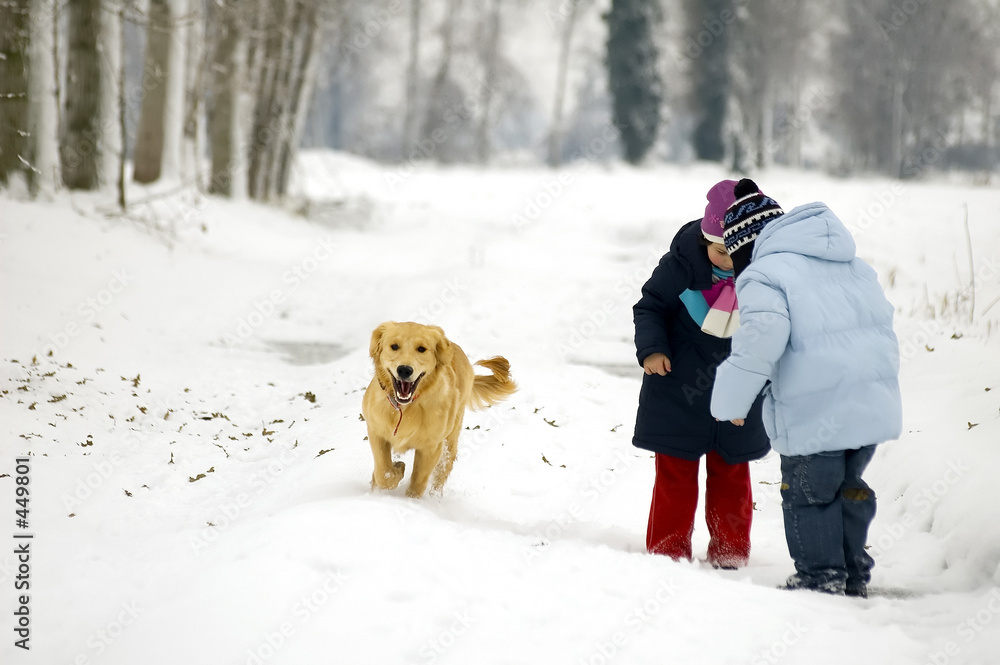 dog playing in the snow with two children