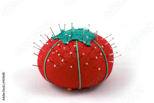 the pincushion
